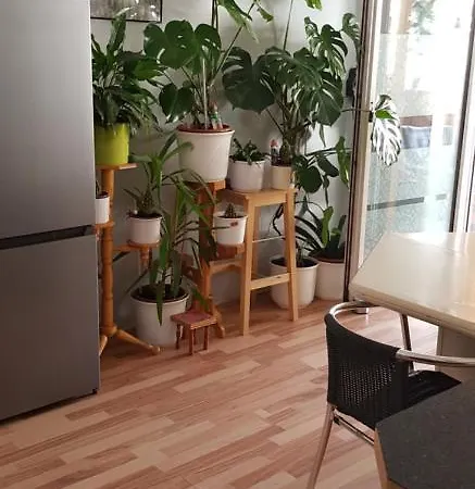 Haus Am Brunnen Homestay