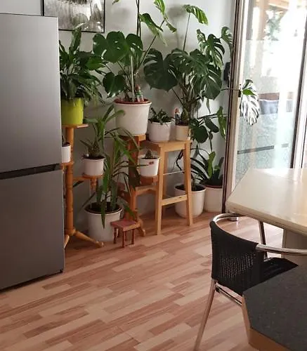 Haus Am Brunnen Homestay szállás